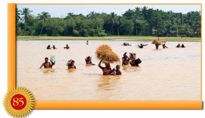 post-2364-060856800 1289845393_thumb.jpg