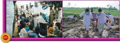 post-2364-065904900 1289754304_thumb.jpg