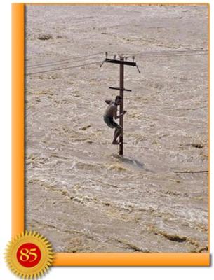 post-2364-072449900 1289845445_thumb.jpg