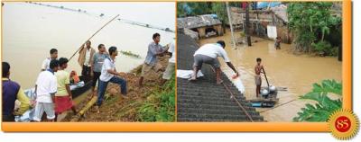 post-2364-081568700 1289845741_thumb.jpg