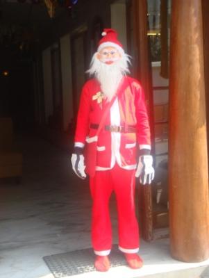 post-3344-010171300 1290029643_thumb.jpg