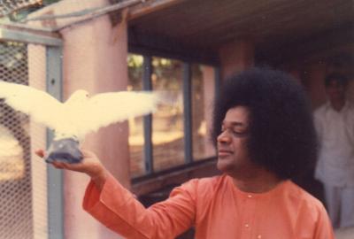 post-3344-092686900 1289643676_thumb.jpg