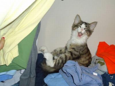 post-1135-035049000 1321441405_thumb.jpg