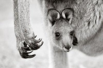 post-1135-055301700 1321441534_thumb.jpg