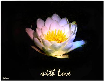 post-2514-091107700 1321988217_thumb.jpg