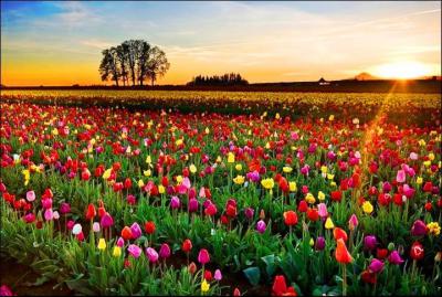 post-3333-003731000 1322022067_thumb.jpg