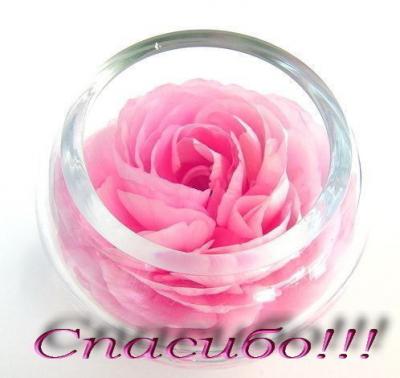 post-3333-049371700 1321512956_thumb.jpg