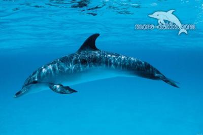 post-6963-045311400 1321388678_thumb.jpg