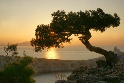 post-2514-000831500 1292586150_thumb.jpg