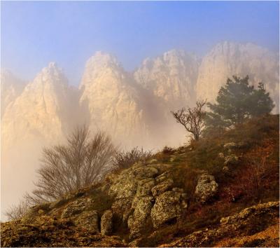 post-2514-076809700 1292586175_thumb.jpg