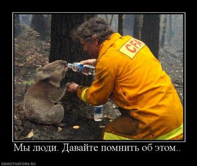 post-295-028871900 1292143262_thumb.jpg