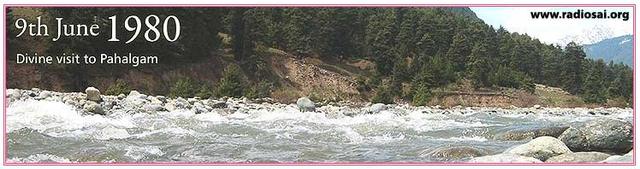 12359960_852203054896435_2875534405488297416_n (1).jpg