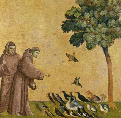 stfrancis.thumb.jpg.75aabca93fb375e13629b977b35cf4bd.jpg