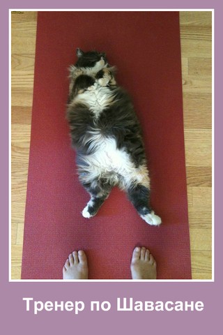 trener_po_shavasane.thumb.jpg.7b2079977fc4c90642a5e50ab631e071.jpg