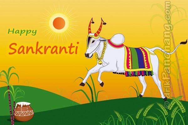 sankranti_bull_worship.jpg.6ac0c2273fb73728b5a9f59fa724a87a.jpg.6eaf1c19af355290a5ec85a314dd767e.jpg