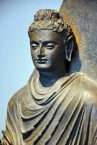 Buddha-1.thumb.jpg.8aad04988f645c2ee4a18b3dd31e2ba5.jpg