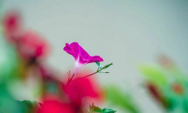 9 вк сф фб.jpg