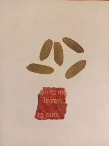 IMG_20231019_172250_998 (1).jpg